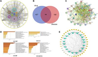 Shenling Baizhu Powder Inhibits RV-SA11-Induced Inflammation and Rotavirus Enteritis via TLR4/MyD88/NF-κB Signaling Pathway